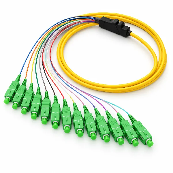 12-Fiber SC/APC Single-Mode Ribbon Fiber Pigtail